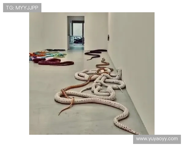 加莱诺的艺术世界探索与文化交融之旅