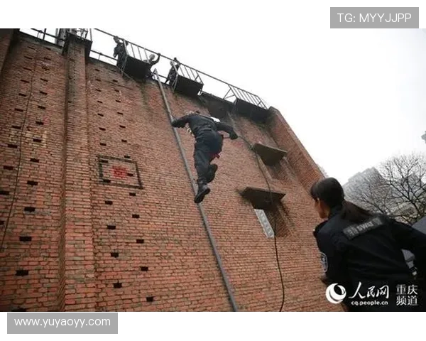 重庆飞盘队的防反战术解析与实战应用探讨